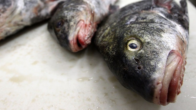 Fish market.jpg